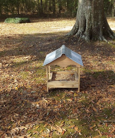 Just thought I would share with my Pinterest lovers this ground bird feeder my husband built for me. LOVE IT! Ground Bird Feeder, Bird Feeder Diy, Platform Bird Feeder, Bird Ideas, Bird Feeder Plans, Birds Garden, Bird Feeding Station, Bird Tables, Bird Feeding