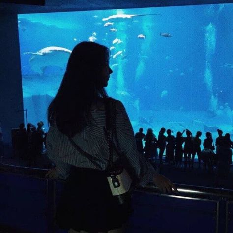 Aquarium Matching Pfp, Pfp Couple Matching, Couples Icons Aesthetic, Aquarium Date, Date Couple, Pp Couple, Match Profile, Lovers Pics, Couple Pfp