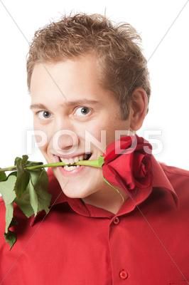 Young man holding a red rose in his mouth Stock Photos #AD ,#holding#red#Young#man Holding A Rose Reference, Rose In Mouth, Photoshop Png, Model Release, Photo Reference, Red Rose, Premium Photo, Red Roses, Art Reference