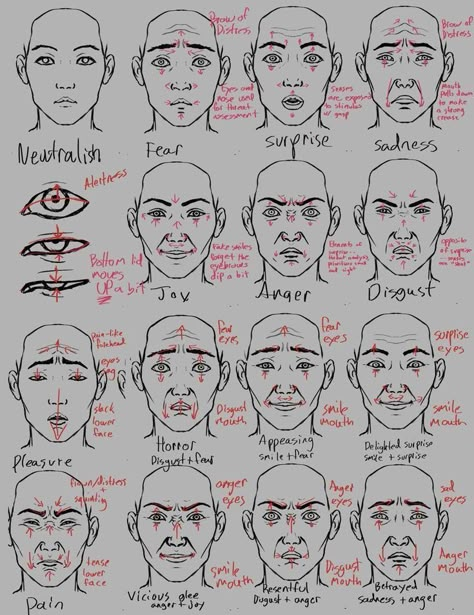 Expressions Drawing, Facial Expressions Drawing, Emotion Faces, Drawing Face Expressions, Face Drawing Reference, Drawing Face, Drawing Expressions, 캐릭터 드로잉, Anatomy Drawing