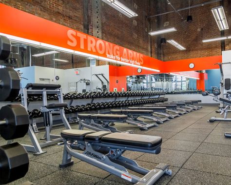 This Gym Prides Itself on Being Size Inclusive - Fit Bottomed Girls Body Inclusivity, Equinox Fitness, Blink Fitness, Pre Workout Protein, Fitness Facilities, Fitness Business, Newsletter Design, Belly Fat Workout, Stay Healthy