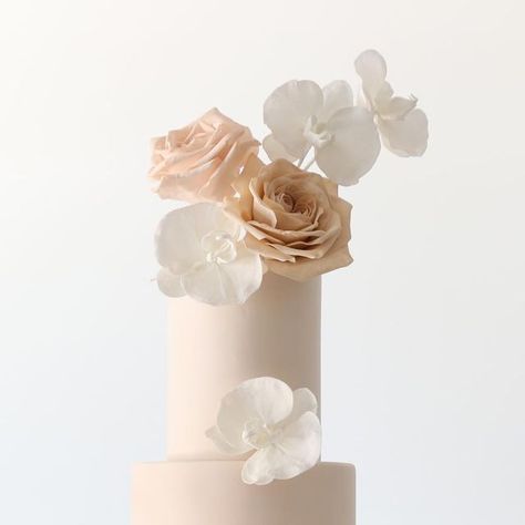 Zoë Clark Cakes on Instagram: "Sugar flowers and soft blush and neutral tones for Laura and Greg 💗" Wedding Cakes Naked, Mirror Cakes, Hand Painted Wedding Cake, Painted Wedding Cake, Mirror Cake, Cake Trends, Gold Wedding Cake, Beautiful Wedding Cakes