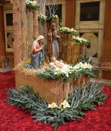 Advent Church Decorations, Christmas Nativity Images, Christmas Nativity Scene Display, Christmas Crib Ideas, Christian Christmas Decorations, Christmas Flower Decorations, Church Christmas Decorations, Church Altar Decorations, Christmas Decorations Centerpiece