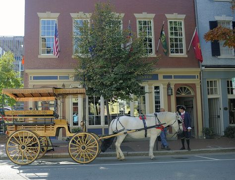 Love Gilmore Girls? These adorable real-life towns might give you some nostalgia! Fall City, Fredericksburg Virginia, Virginia Travel, Virginia City, Virginia Is For Lovers, Fredericksburg Va, Visitor Center, New Town, Scenic Drive