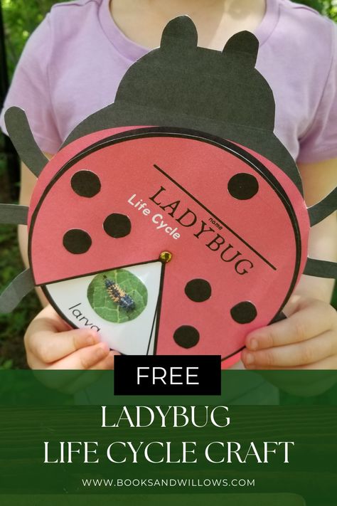 Learn about one of the world's favorite bugs with our FREE Life Cycle of a Ladybug Craft and nature study. What The Lady Bird Heard Activities, Bug Life Cycle Preschool, Ladybug Life Cycle Craft, Life Cycles Preschool Activities, Life Cycle Of A Ladybug, Clever Classroom Ideas, Spinner Craft, Bird Life Cycle, Life Cycles Preschool