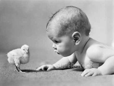 Baby Chicks Photography, Baby Easter Pictures, Easter Baby Photos, Easter Photography, Easter Photoshoot, 3 Month Old Baby, Baby Chickens, Easter Pictures, Human Babies