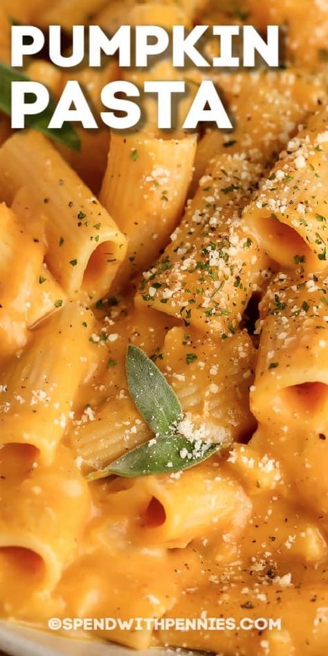 Pasta With Pumpkin Sauce, Pumpkin Sauce For Pasta, Easy Pumpkin Pasta, Recipes For Pumpkin, Creamy Pumpkin Pasta, Pumpkin Pasta Recipe, Pumpkin Pasta Sauce, Recipe Sauce, Turkey Pasta