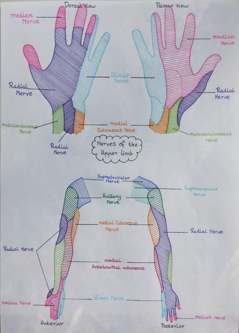 Physiotherapy Study Notes, Physical Therapy Notes, Kinesiology Notes, Physiotherapy Notes, Physical Therapy Student Aesthetic, Physical Therapy Aesthetic, Physical Therapy Assistant Student, Physiotherapy Student, Pt School