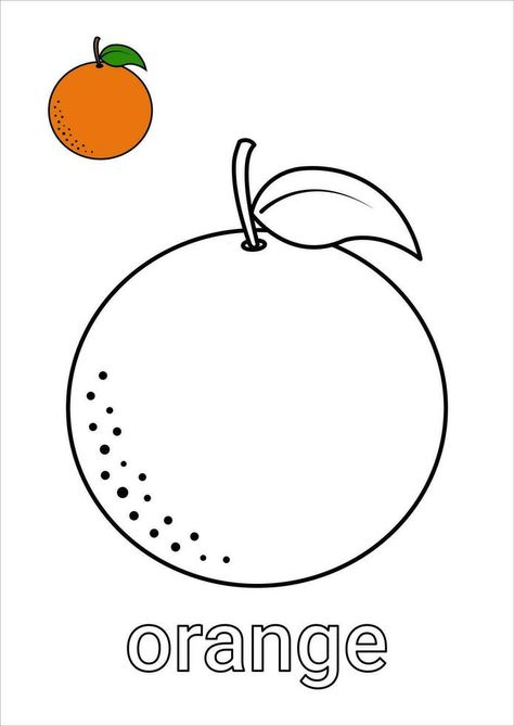 Orange Preschool Worksheets, Orange Outline Drawing, Orange Color Activity, Coloring Fruits For Kids, Orange Colour Activity For Preschool, Orange Coloring Sheet, Color Orange Worksheet, Orange Activities For Preschool, Color Orange Activities For Preschool