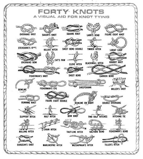 forty_knots Sailors Knot Tattoo, Sailing Knots, Fishermans Knot, Types Of Knots, Girl Scout Camping, Knot Tattoo, Nautical Knots, Sailor Knots, Knots Diy