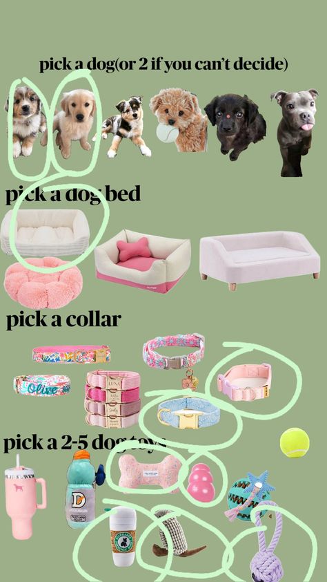 #dogs #pitbul #cute #animals #fyp #love Stuff For Dogs, Cute Dog Stuff, 6th Grade Tips, Puppy Essentials, Dog Supplies List, Puppy Items, New Puppy Checklist, Pet Treats Recipes, Puppy Checklist