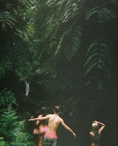 hawaii oahu northshore film 35mm nature hike byuh Costa Rica Film Photography, Hawaii On Film, Instagram Rebranding, Hawaii 90s, Pizza Instagram, Sunny Aesthetic, Hawaii Lifestyle, Hawaii Photos, Aesthetic Elements