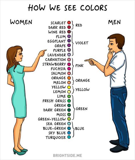 Men vs Women and colors Men Vs Women, Stay Happy, Man Vs, Fun Quotes Funny, English Vocabulary, Just Amazing, Anton, Learn English, Daily Dose