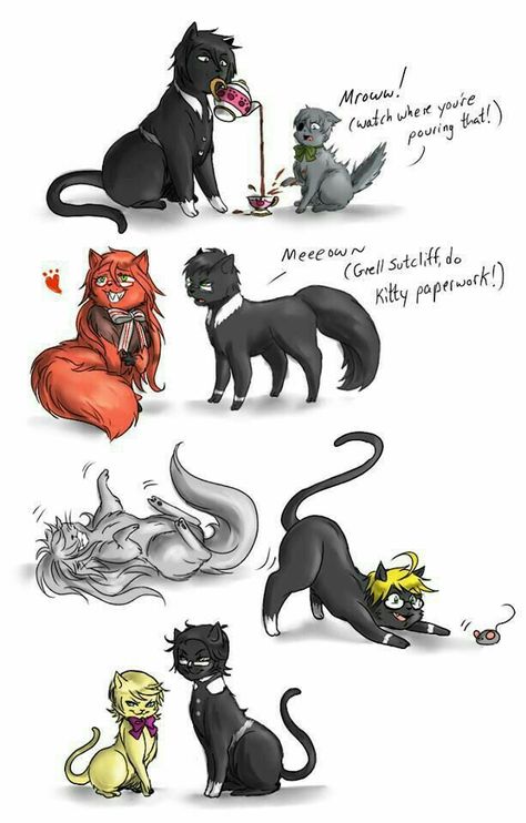 Black Butler Cat AU😂😂 Black Butler Comics, Black Butler Meme, Black Butler Funny, Black Butler Characters, Black Butler 3, Black Butler Ciel, The Ancient Magus Bride, Black Butler Anime, Butler Anime