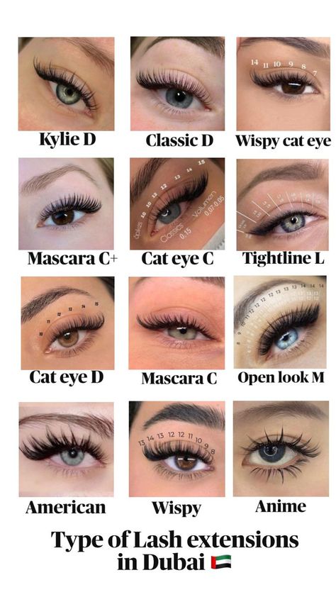 Eye Lash Style, Eyelash Extensions Classic, Eyelashes Tutorial, Lash Map, Lash Maps, Maquillage On Fleek, Lash Ideas, Lashes Tutorial, Lashes Fake Eyelashes