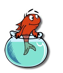 Last night, leaving Papa's house, Bailee looked up and saw the moon. I looked down at her in her stroller, and she had her eyes closed. I a... Dr Seuss Fish, Cat In The Hat, Red Fish, The Lady, Dr Seuss, Clip Art, Moon, Fish, Bowl