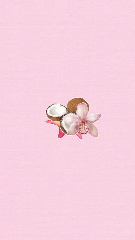 pretty coconut pink summer cute wallpaper Aesthetic Coconut Wallpaper, Summer Cute Wallpaper, Coconut Wallpaper, Coconut Aesthetic, Pink Wallpaper Ipad, Cute Wallpaper, Wallpaper Vintage, Coconut Girl, Pink Summer