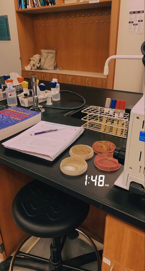 University of Scranton Science Lab Asethic, Medical Research Lab Aesthetic, Clinical Lab Scientist, Med Lab Tech Aesthetic, Medtech Student Aesthetic, Medical Laboratory Scientist Aesthetic, Lab Job Aesthetic, Lab Pictures Science, Lab Student Aesthetic