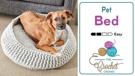 Crochet Pet Bed, Pet Bed Pattern, Knitting Patterns Cocoon, Crochet Cat Bed, Crochet Pet, The Crochet Crowd, Small Pet Bed, Crochet Crowd, Dog Bed Furniture