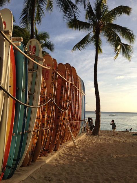 Oahu Wallpaper, Hawaii Hotel, Hotel Background, Hawaii Hotels, Surf Vibes, Same Picture, Beach Background, Summer Backgrounds, Waikiki Beach