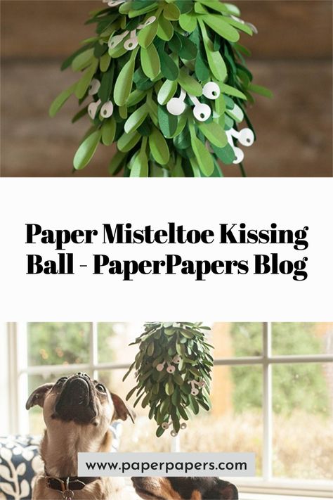 Check out this totally cute craft on our blog on how to make this Paper Mistletoe Kissing Ball by Lia Griffith! https://www.paperpapers.com/news/paper-misteltoe-kissing-ball/ Mistletoe Template Free Printable, Giant Mistletoe, Paper Mistletoe, Mistletoe Ball, Kiss Under The Mistletoe, Cute Craft, Kissing Ball, Paper Balls, News Paper