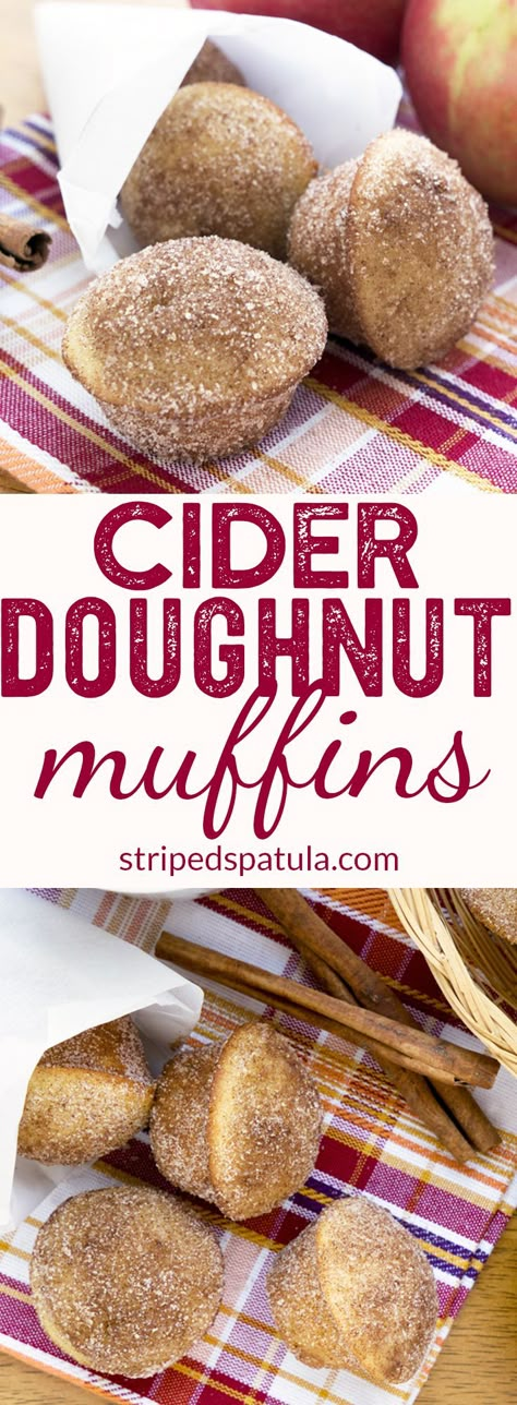 Apple Cider Doughnut Muffins | Fall Recipes | Fall Baking Ideas | #applecider #fallrecipes Apple Cider Donut Muffins Recipe, September Baked Goods, Apple Cider Muffins Easy, Fall Inspired Baked Goods, Autumn Baked Goods, Fall Baked Goods Recipes, Halloween Baked Goods, Apple Cider Donut Muffins, Breakfast Baked Goods