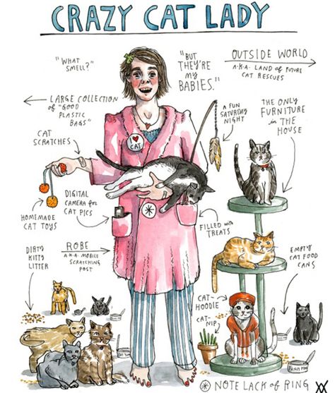 Wendy MacNaughton: Crazy Cat Lady annotated illustration Katt Diy, Katt Grejer, Lady Cat, Types Of Cats, Cat Hoodie, Cat Quotes, Crazy Cat, Cat Rescue, Cats Meow