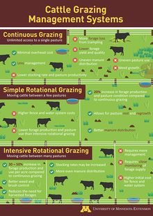 Cattle grazing systems poster thumbnail Corn And Beans, Pasture Management, Dexter Cattle, Cattle Grazing, Homesteading Animals, Cow Pasture, Raising Cattle, Beef Cow, Raising Farm Animals