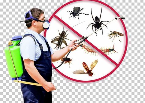 Types Of Insects, Best Pest Control, Flea Prevention, Bug Control, Termite Control, Insect Control, Pest Control Services, Citrus Oil, Humming Bird Feeders