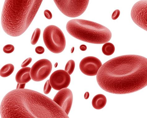 What Is Polycythemia Vera? Myeloproliferative Neoplasms, Bloodborne Pathogens, Hemoglobin Levels, Acid Base Balance, Feeling Dizzy, Red Blood, Heart Problems, Bone Marrow, Red Blood Cells