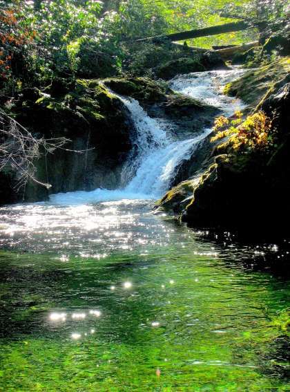 A 1.5-mile walk on the remote South Kelsey Trail leads to Buck Creek with a waterfall near its confluence with the South Fork Smith River Travel Newsletter, California Waterfalls, California Camping, Forest Cabin, Lake Vacation, Forest Road, Small Waterfall, Pacific Crest Trail, South Lake Tahoe