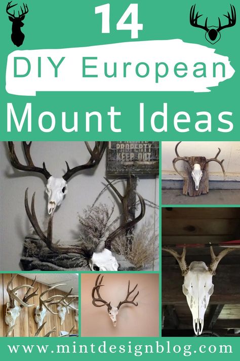 European mount is a clean and simple way to display your trophy head. These amazing DIY European mount ideas will show off your hard-earned prize. European Deer Skull Mount Ideas, Skull Mount Ideas Wall Decor, Elk Mount Living Room, European Deer Mount Ideas Display, Diy European Deer Mount, European Mount Decor, Euro Mount Ideas, European Mount Display, Deer Skull Mount Ideas