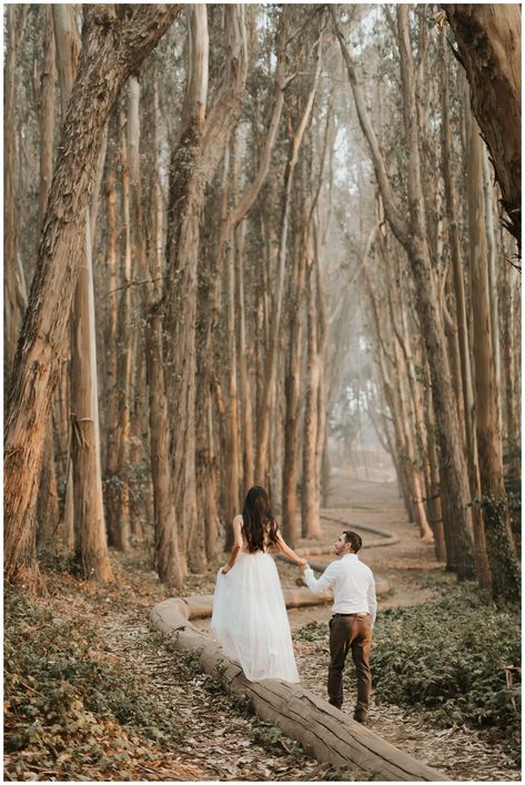 Meg's Marvels Photography - Dreamy Lover's Lane Engagement & Elopement Photos in San Francisco Presidio Eucalyptus Trees Redwood Forest Engagement Photos, Lovers Lane San Francisco, Tree Engagement Pictures, San Francisco Couples Photoshoot, Redwood Photoshoot, Fantasy Engagement Photos, Woodsy Engagement Pictures, San Francisco Presidio, Forest Engagement Photos