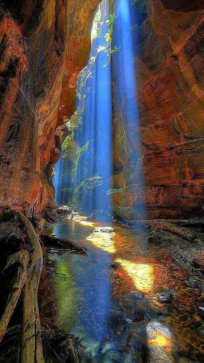 Blue Mountains Australia, Blue Mountains, Hobart, Blue Mountain, Australia Travel, Amazing Nature, Natural Wonders, Beautiful World, Beautiful Landscapes