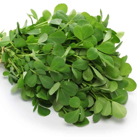 11 Best Fresh and Dry Fenugreek Leaves Substitutes Substitute Ideas, Meat Rubs, Alfalfa Sprouts, Fenugreek Leaves, Easter Desserts Recipes, Food Substitutions, Herb Seasoning, Leafy Vegetables, Fenugreek Seeds