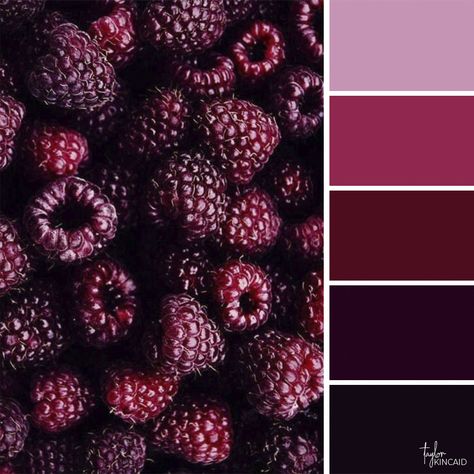 Excellent Totally Free Color Schemes purple Thoughts Many people know the essentials involving made from controls: out of key as well as secondary colora #Color #Excellent #Free #purple #Schemes #Thoughts #Totally Purple Monochrome, Color Schemes Colour Palettes, Raspberry Color, Color Palate, Design Seeds, Color Palette Design, Color Inspo, Colour Schemes, Color Pallets