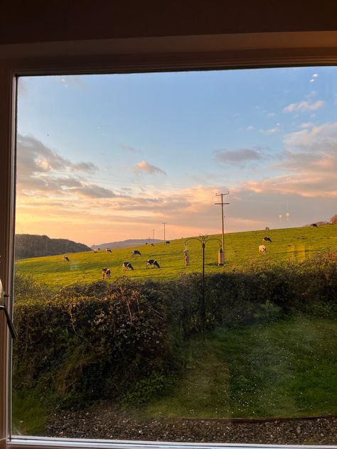 Wales, cows, sunset, welsh view, window view, cozy, travel, farm aesthetic Scotland Farm Aesthetic, South Wales Aesthetic, Welsh Countryside Aesthetic, Welsh Aesthetic, Wales Countryside, Wales Aesthetic, Wales Mountains, Wales Country, Farm Aesthetic