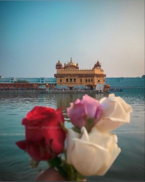 Golden Temple Hd Pics, Wahe Guru, New Style Suits, Temple Wallpaper, Golden Temple Wallpaper, Bf Pics, Darbar Sahib, Golden Temple Amritsar, Harmandir Sahib