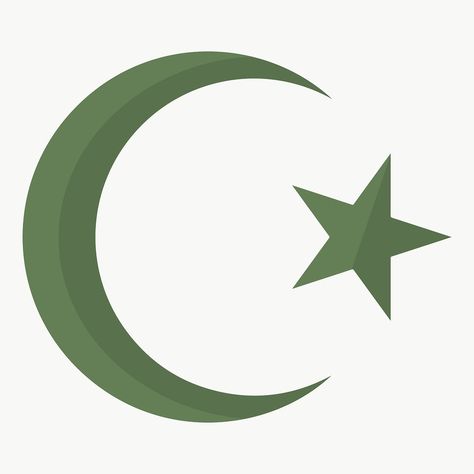 Islam Symbol Aesthetic, Star Symbol Design, Islam Moon, Islam Symbol, Star Symbol, Pakistan Flag, Crescent Moon And Star, Winter Wreaths, Some Jokes