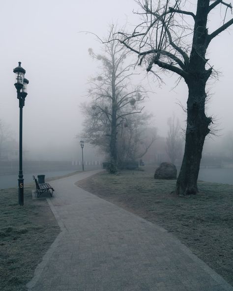 Creepy Fog, Gloomy Winter, 29 February, Park Shoot, Monochrome Photo, Park Scene, Gloomy Weather, Mad Father, Bare Trees