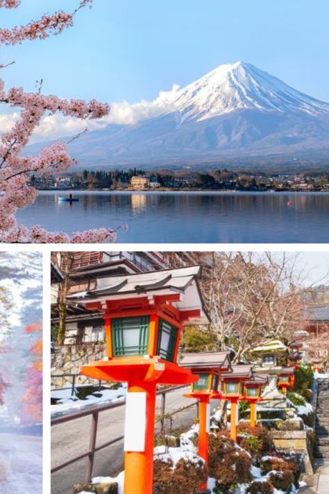 10 Must-Do Things in Tokyo in Winter | City Unscripted Tokyo In Winter, Tokyo Winter, Yasukuni Shrine, Meiji Shrine, New Years Traditions, Visit Tokyo, Tokyo Skytree, Winter City, Public Bath