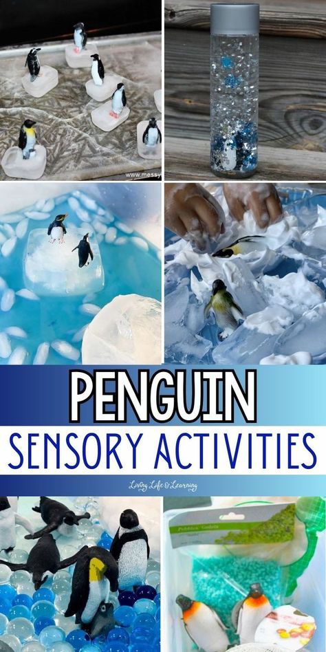 Penguin Sensory Activities Arctic Animal Activities, Arctic Animals Activities, Arctic Animals Preschool, Sensory Activities For Kids, Infant Activity, Penguin Activities, Animal Activities For Kids, Penguin Crafts, Preschool Science Activities