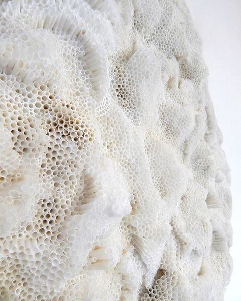 193 Likes, 3 Comments - Design Froth (@designfroth) on Instagram: “This piece is called Pithváva Female by seashell artist Rowan Mersh. His creative pieces bridge the…” Texture Inspiration, Textile Texture, Art Texture, Patterns In Nature, White Aesthetic, Color Textures, Natural Texture, Textures Patterns, Textile Design