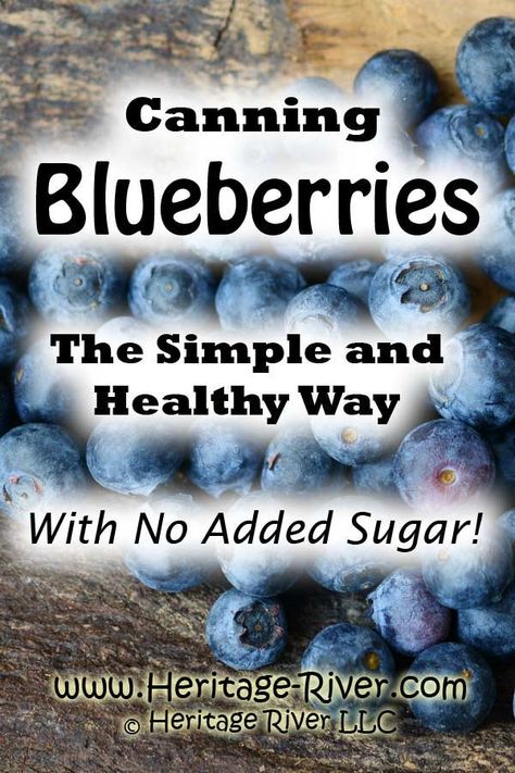 Canning Blueberries, Blueberry Water, Blueberry Jam Recipe, Canned Blueberries, Canning Fruit, Homesteading Skills, Dinner On A Budget, Home Canning, Blueberry Recipes