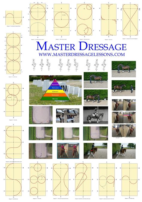 Without flat work, you cannot successfully jump. Equestrian Training, Horse Jumping Exercises, Riding Ideas, Jumping Exercises, Dressage Tests, Dressage Exercises, Horse Training Exercises, Horse Lessons, Dressage Training