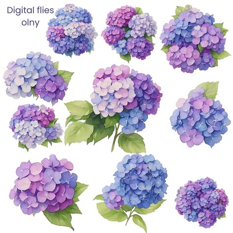 Hydrangea Bush Drawing, Hydrangea Sticker, Hydrangea Drawing, Hydrangea Picture, Hydrangea Design, Hydrangea Art, Flowers Logo, Hydrangeas Art, Flowers Hydrangea