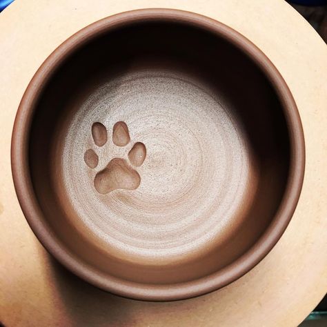 Making some custom dog dishes with a very purposeful #cairnterrier print 😁 #redclay #dogbowl Dog Bowls Pottery Ideas, Diy Ceramic Dog Bowl, Dog Bowl Ceramic Pottery, Dog Plate Ceramic, Dog Ceramic Ideas, Dog Pottery Ideas, Ceramic Dog Bowls Pottery, Pottery Dog Bowl Ideas, Dog Ceramic Bowl