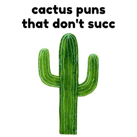 Aloe Vera Puns, Cactus Memes Funny, Cactus Puns Funny, Cactus Sayings Quotes, Motivation Puns, Cactus Jokes, Cactus Quotes Funny, Cactus Sayings, Cactus Puns