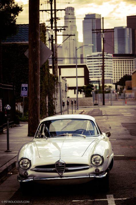 Giulia SS Alfa Romeo Spider Duetto, Alfa Giulia, Airplane Car, Alfa Romeo 8c, Alfa Romeo Spider, Italian Motorcycles, Alfa Romeo Cars, Lovely Car, Alfa Romeo Giulia