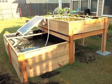 DIY Backyard Aquaponics System by Renewable DIY, via Kickstarter. Backyard Aquaponics, Aquaponics Fish, Aquaponics Diy, Aquaponic Gardening, Aquaponics System, Hydroponics System, Hydroponic Gardening, Garden Bed, Urban Farming